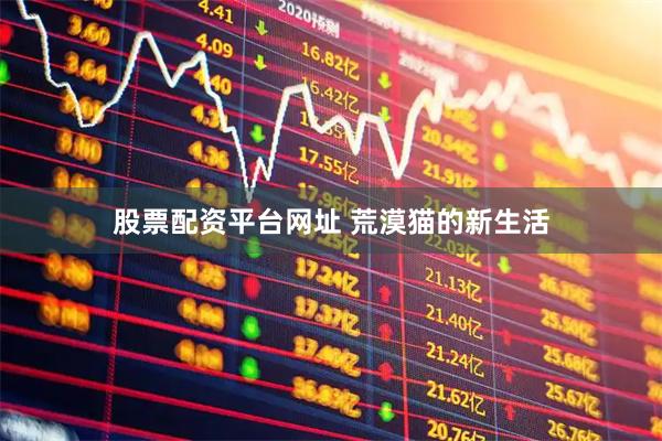 股票配资平台网址 荒漠猫的新生活