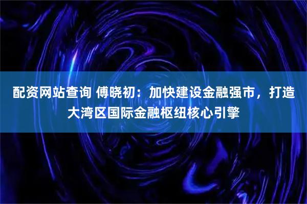 配资网站查询 傅晓初：加快建设金融强市，打造大湾区国际金融枢纽核心引擎